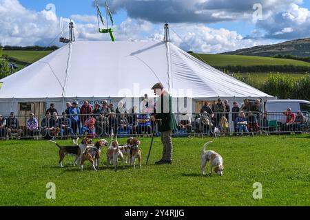 Westmorland County Show Cumbria célébrant le meilleur de la vie rurale, bétail, chiens, moutons, machines et produits locaux. Westmorlland County Agricultural Banque D'Images