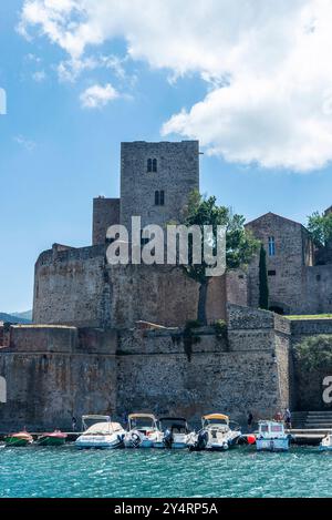 Collioure, France - 17 juin 2024 : Château Royal de Collioure ou Castell Reial de Cotlliure à côté du port de ce village de pêcheurs de France Banque D'Images