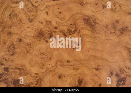 Dadar, Maharashtra / Inde - 1 mai 2008 : vue rapprochée d'un dessin abstrait, motif sur le mur. Banque D'Images