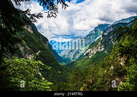 TARVISIO, ITALIE – 23 JUILLET 2024 : une vue sur le parc de la Prealpi Giulie, mettant en valeur les divers paysages de la région Banque D'Images
