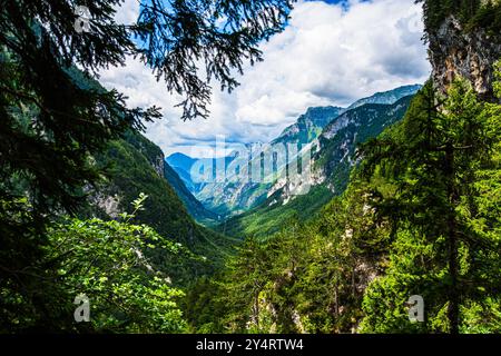TARVISIO, ITALIE – 23 JUILLET 2024 : une vue sur le parc de la Prealpi Giulie, mettant en valeur les divers paysages de la région Banque D'Images