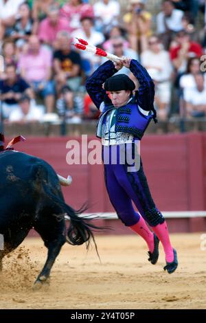 Séville, Espagne, 15 août 2008, Un banderillero engage habilement un taureau lors d'un événement traditionnel de tauromachie à Séville, mettant en valeur l'intensité de Banque D'Images