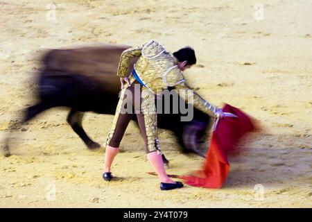 Séville, Espagne, 15 août 2008, Luis de Pauloba exécute habilement une passe droitière lors d'une corrida dans la vraie Maestranza, démontrant l'élégance Banque D'Images