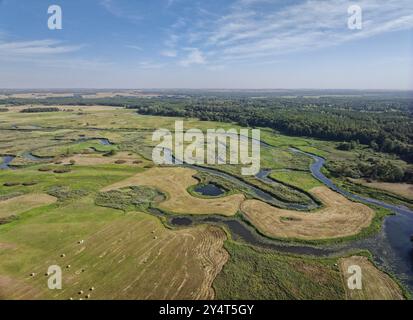 Vue aérienne de la rivière Biebrza sinueuse dans le parc national de Biebrza dans le nord de la Pologne. Goniadz, Podlaskie, Pologne, Europe Banque D'Images