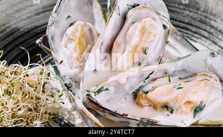 Moules délicates étouffées dans une sauce crémeuse, garnies de germes, présentées sur une élégante assiette macro Banque D'Images