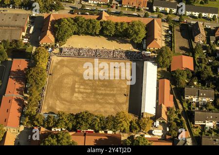 Warendorf, haras d'État de Rhénanie-du-Nord-Westphalie, élevage d'étalons, défilé d'étalons Banque D'Images