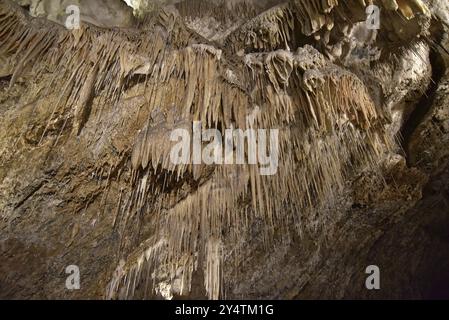 Grotte calcaire de mole Creek en Tasmanie, Australie, Océanie Banque D'Images