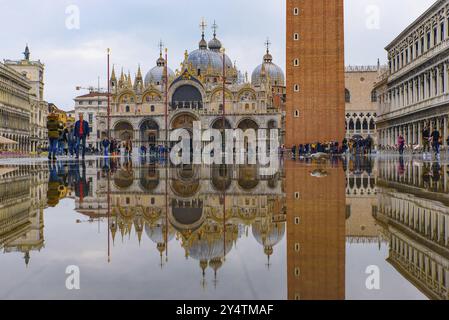 Le reflet de la basilique Saint-Marc et du Campanile sur la place Saint-Marc (Piazza San Marco), Venise, Italie, Europe Banque D'Images