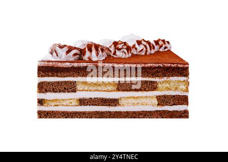 Délicieux gâteau tiramisu avec poudre de cacao et décoration crème isolé sur fond blanc Banque D'Images