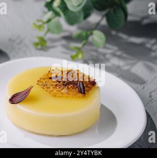 Dessert sophistiqué avec un flan crémeux au caramel et une garniture sur une assiette blanche Banque D'Images