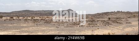 Anciennes tombes de tribu Afar dans le désert de danakil, région Afar, Semera, Ethiopie Banque D'Images