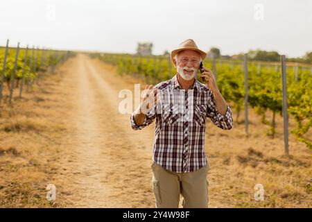 Un homme plus âgé portant un chapeau de paille sourit largement pendant qu'il parle sur son téléphone, se promenant le long d'un chemin de vignoble ensoleillé bordé de vignes Banque D'Images