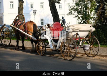 Chariot à l'ancienne tiré par un cheval d'oseille dans une rue de la vieille ville européenne. Chariot de cheval vintage pour les touristes. Banque D'Images