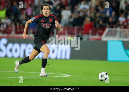 Belgrade, Serbie. 19 septembre 2024. Alvaro Carreras de Benfica lors du match de la phase MD1 de la Ligue des champions 2024/25 de l'UEFA entre le FK Crvena Zvezda et le SL Benfica au stade Rajko Mitic le 19 septembre 2024. Crédit : Dimitrije Vasiljevic/Alamy Live News Banque D'Images