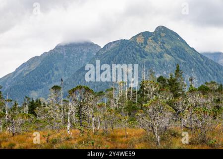 Montagnes Three Sisters surplombant les arbres et les zones humides à Sitka, Alaska. Banque D'Images