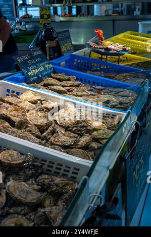 Huîtres fraîches de différentes tailles dans la halle de marché prêtes à être mangées pour le déjeuner, de près, du village ostréicole, baie d'Arcachon, Gujan-Mestras, Bor Banque D'Images