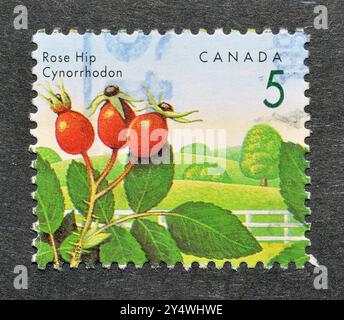 Timbre-poste oblitéré imprimé par le Canada, qui montre Rose Hip (Rosa rugosa) vers 1992. Banque D'Images