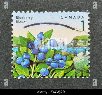 Timbre-poste annulé imprimé par le Canada, qui montre Blueberry, vers 1992. Banque D'Images