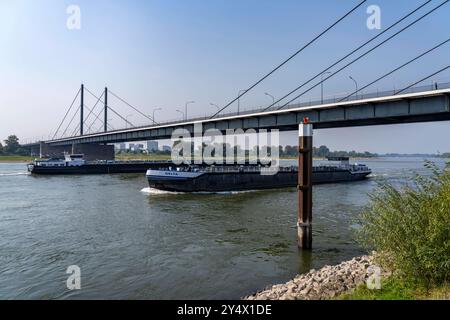 Die Theodor-Heuss-Brücke, Rheinquerung, Schrägseilbrücke, erste Straßenbrücke der s.g. Düsseldorfer Brückenfamilie, ist marode, für, Betonschäden Fahrzeuge über 30 Tonnen Gesamtgewicht gesperrt, die Planungen eines Ersatzneubau sind angelaufen, Düsseldorf, NRW, Deutschland Theodor-Heuss-Brücke *** Düsseldorf 30 Düsseldorf Banque D'Images