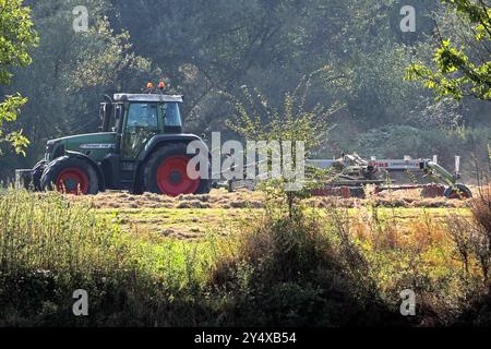 Landarbeit in Nordrhein-Westfalen Ein Schlepper des Herstellers Fendt befährt mit einem Heuwender eine Auenlandschaft um eine gleichmäßige Trocknung von dem Heu zu erzielen. Essen Rhénanie-du-Nord-Westphalie Deutschland *** travaux agricoles en Rhénanie-du-Nord-Westphalie Un tracteur du fabricant Fendt conduit une faneuse à travers un paysage de prairie pour obtenir un séchage uniforme du foin Essen Rhénanie-du-Nord-Westphalie Allemagne Banque D'Images