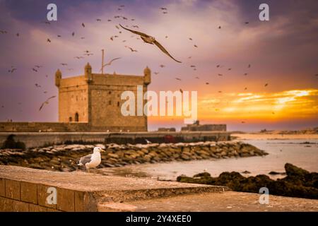 Golden Hour magie à Essaouira, flâner dans les charmantes rues et assister au coucher de soleil à couper le souffle sur l'Atlantique, le Maroc Banque D'Images