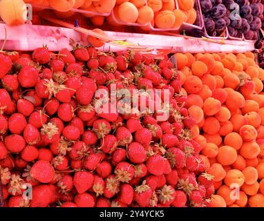 Fruits de saison biologiques dans un grand assortiment au marché du fermier, fond alimentaire. Banque D'Images