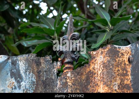 Texture rouille brune sur fer de zinc Banque D'Images