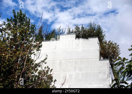 Dachgarten mit Bäumen bepflanzter Dachgarten eines Hauses, Berlin, 14.09.2024. Dachgärten bringen Raum für Grün à städtischen Gebieten. Berlin Berlin Deutschland *** jardin de toit jardin de toit d'une maison plantée d'arbres, Berlin, 14 09 2024 les jardins de toit créent un espace pour la verdure dans les zones urbaines Berlin Berlin Allemagne Banque D'Images