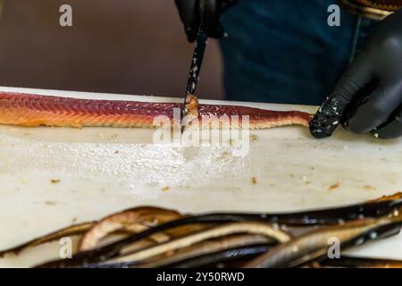 Matthias Föh, propriétaire de quatrième génération de la fumerie de poisson Föh à Kappeln, retire la couche de graisse d’un filet d’anguille fumé pour le rendre plus digeste. L’entreprise familiale, fondée en 1911, est un point de repère de la ville avec ses trois tours. Dehnthof, Schleswig-Holstein, Allemagne. Banque D'Images