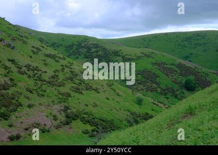 Collines roulantes sur le long Mynd Banque D'Images