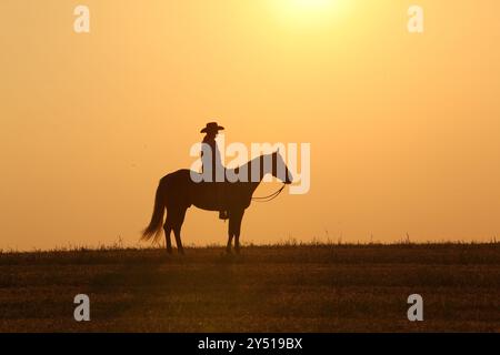 Incroyable palomino quart cheval avec une longue crinière au coucher du soleil Banque D'Images