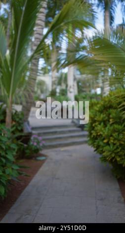 Scène extérieure floue à lanzarote, îles canaries avec verdure et lumière du soleil créant une ambiance paisible Banque D'Images