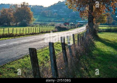 Une route rurale avec une clôture en bois qui court à côté, menant au loin à travers un paysage de campagne d'automne verdoyant. Banque D'Images