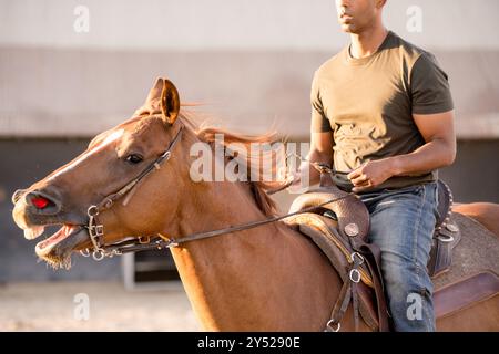 Gros plan du cheval avec la bouche ouverte Banque D'Images