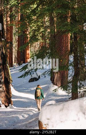 Un randonneur avec un sac à dos marche le long d'un sentier enneigé dans une forêt sereine Banque D'Images