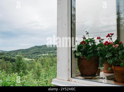 Pots de fleurs sur une fenêtre d'une maison suédoise traditionnelle Banque D'Images