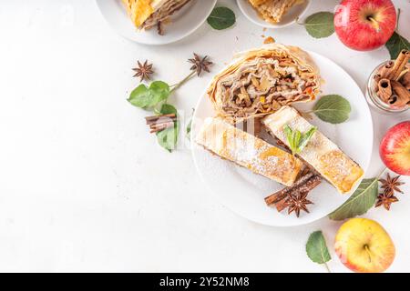 Strudel de pomme d'automne parfumé maison avec pommes caramélisées, raisins secs, noix, miel, épices de cannelle, sur l'assiette sur la table de cuisine copier l'espace Banque D'Images