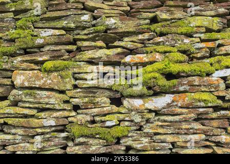 Gros plan de vieux mur de pierre sèche altérée avec de la mousse et du lichen poussant dessus. Banque D'Images