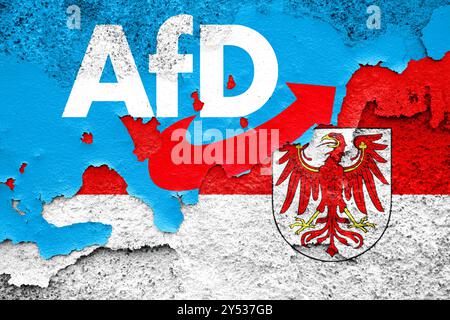 Allemagne - 20 septembre 2024 : image symbolique de l'élection de l'État dans le Brandebourg. AFD Alternative for Germany logo du parti avec les armoiries du Brandebourg sur un mur fissuré. PHOTOMONTAGE *** Symbolbild Landtagswahl dans le Brandebourg. AFD Alternative für Deutschland Parteilogo zusammen mit dem Wappen von Brandenburg auf einer rissigen Mauer. FOTOMONTAGE Banque D'Images