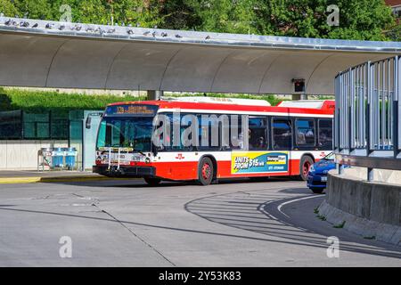 Toronto, Canada - 14 septembre 2024 : un autobus de transport public de la TTC à la gare Victoria Park. Banque D'Images