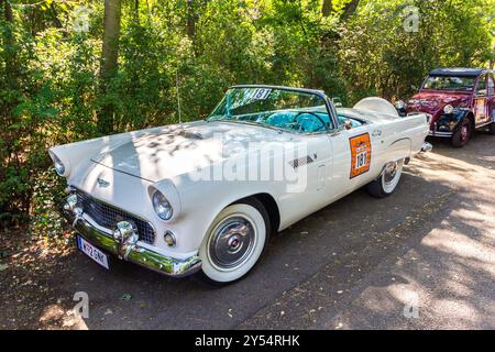 Ford Thunderbird 1955 aux Vienna Classic Days 2024, oldtimer car parade, Donaupark, Vienne, Autriche Banque D'Images