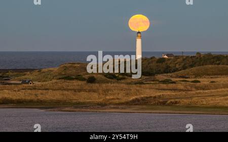 Moisson supermoon se lève derrière le phare de Barns Ness, Dunbar, East Lothian, Écosse, Royaume-Uni Banque D'Images