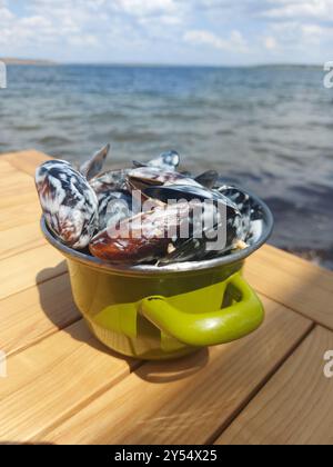 Moules en coquilles en sauce crémeuse. Délicieuses moules dans une poêle. Déjeuner de fruits de mer avec la mer en arrière-plan. Banque D'Images