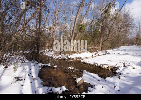 Une scène hivernale sereine d'une forêt avec un sol enneigé et un étang partiellement gelé sous un ciel bleu. Banque D'Images