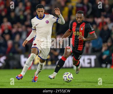 14 septembre 2024 - AFC Bournemouth v Chelsea - premier League - Vitality Stadium. Levi Colwill de Chelsea et Antoine Semenyo de Bournemouth en action. Image : Mark pain / Alamy Live News Banque D'Images