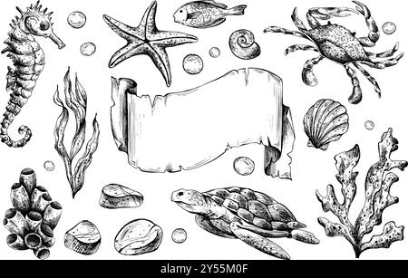 Hippocampe, crabe, tortue, coquillages, étoiles de mer, poissons, bulles, cailloux, autres animaux marins. Illustration graphique dessinée à la main à l'encre noire. Ensemble de isolé Illustration de Vecteur