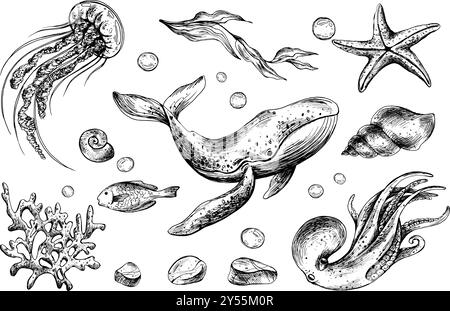 Poulpe, baleine, méduses, tortue, coquillages, étoiles de mer, poissons, bulles, autres animaux marins. Illustration graphique dessinée à la main à l'encre noire. Ensemble de isolé Illustration de Vecteur