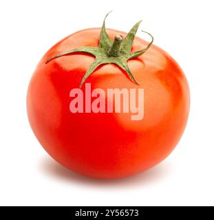 Chemin de tomate isolated on white Banque D'Images