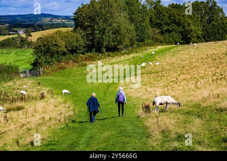 Deux marcheurs sur le domaine de Symondsbury descendant de Colmer's Hill, NR Bridport, Dorset, Angleterre, Royaume-Uni Banque D'Images