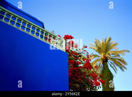 La maison du couturier Yves Saint Laurent. Le jardin Majorelle à Marrakech au Maroc au Maghreb en Afrique du Nord. Banque D'Images